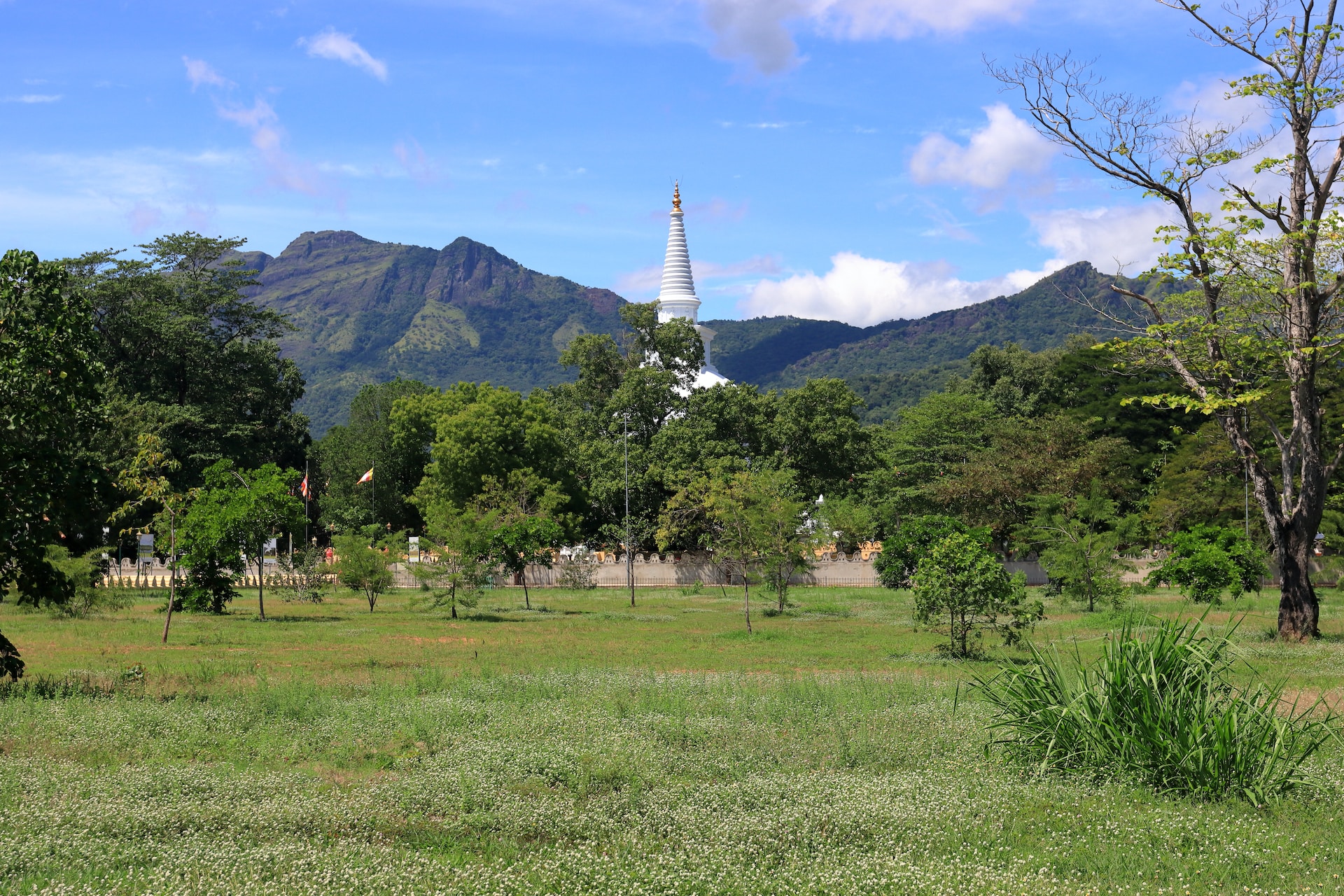 Veddah Village Tour | Tropical Skies of Ceylon